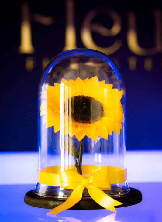 Girasol Preservado Pequeño 🌻 Con 5 Años De Duración