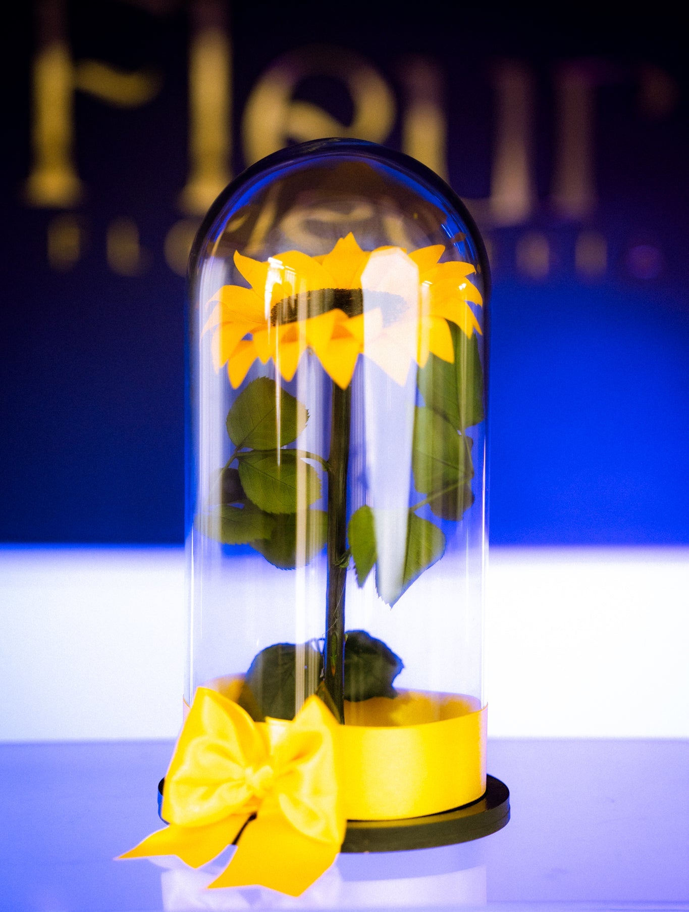 Girasol Preservado 🌻 Con 5 Años De Duración