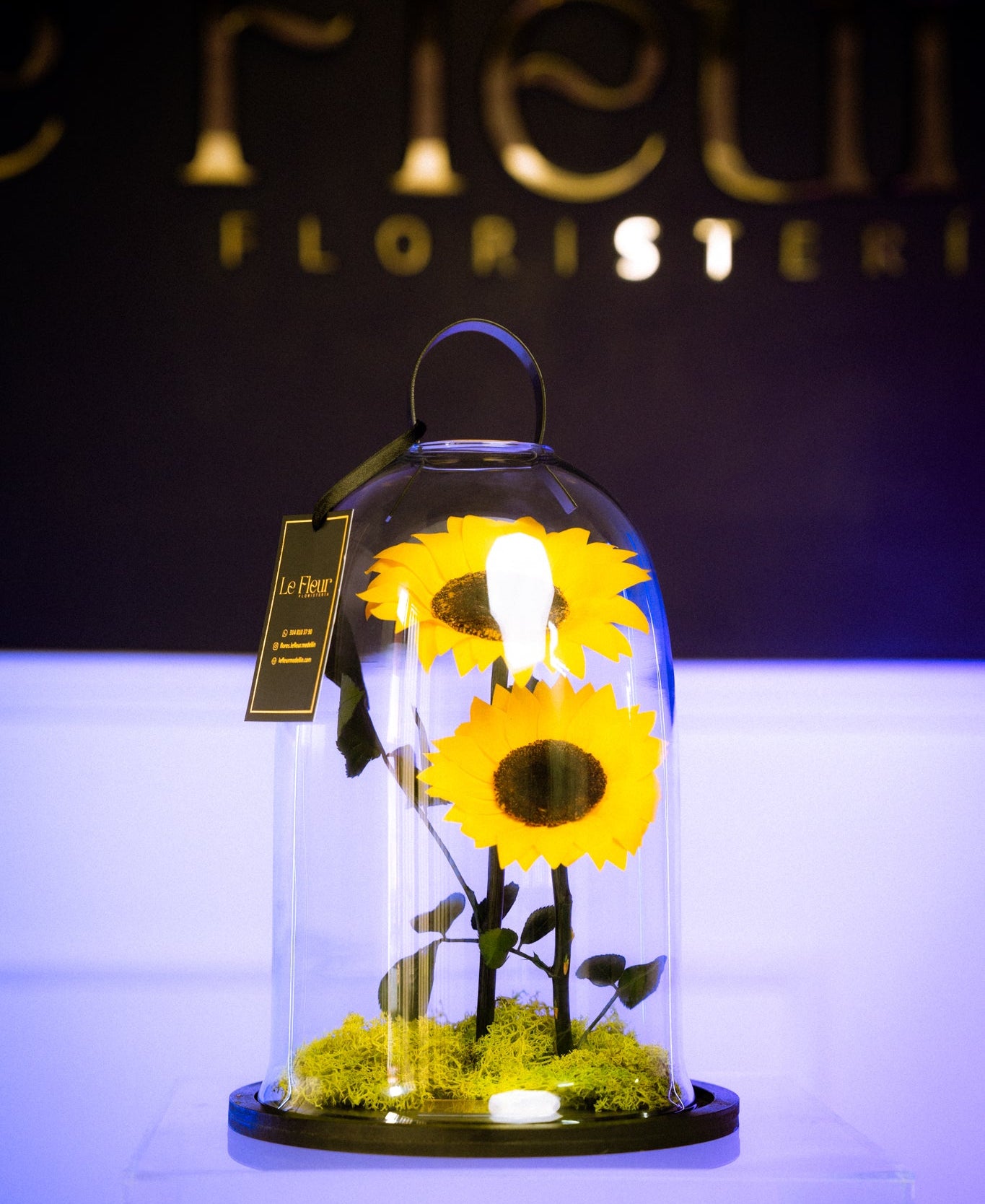 Girasol Preservado XL Doble 🌻 Con 5 Años De Duración