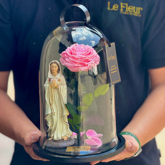 Rosa Preservada XL Rosada + Rosa Mistica Grande