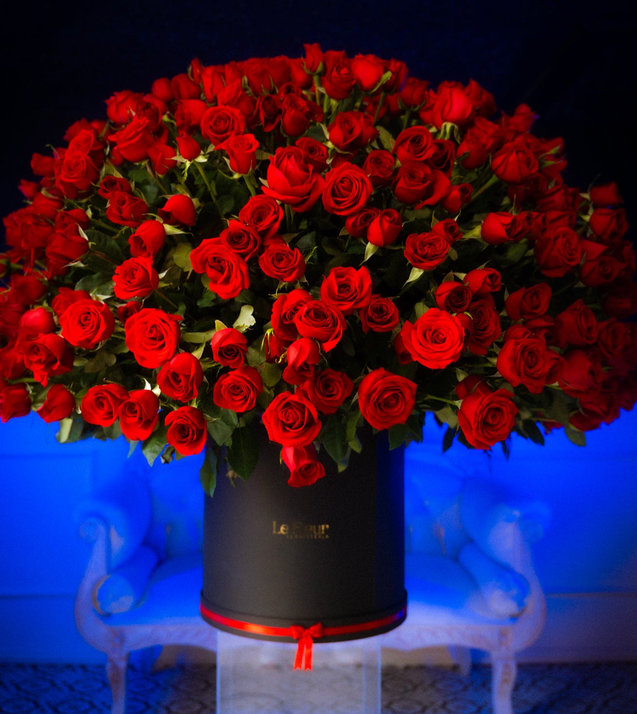 Pompon Buchon Gigante De 1.000 Rosas De Exportacion 🌹