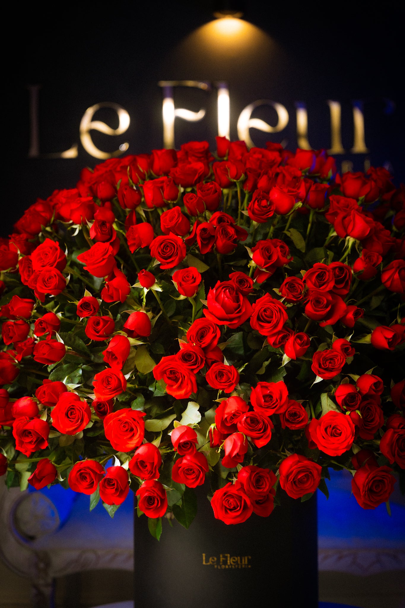 Pompon Buchon Gigante De 500 Rosas De Exportacion 🌹
