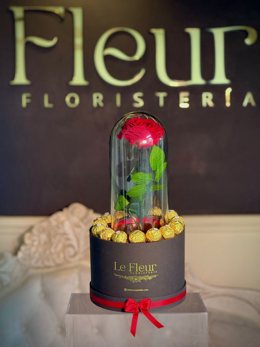 Cilindro 20 Ferrero + Rosa Preservada