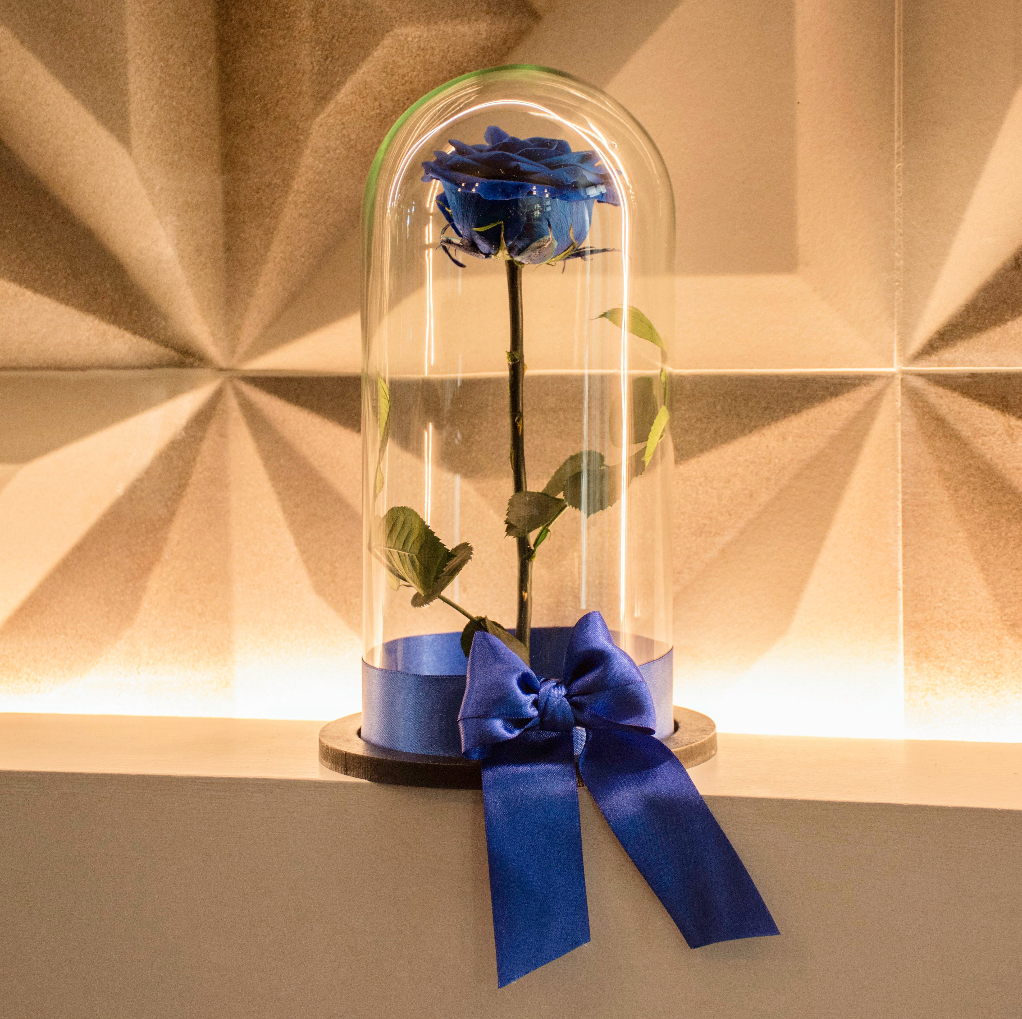 Rosa Preservada Premiun Azul 🌹 Con 5 Años De Duración – Rosas Le Fleur ...