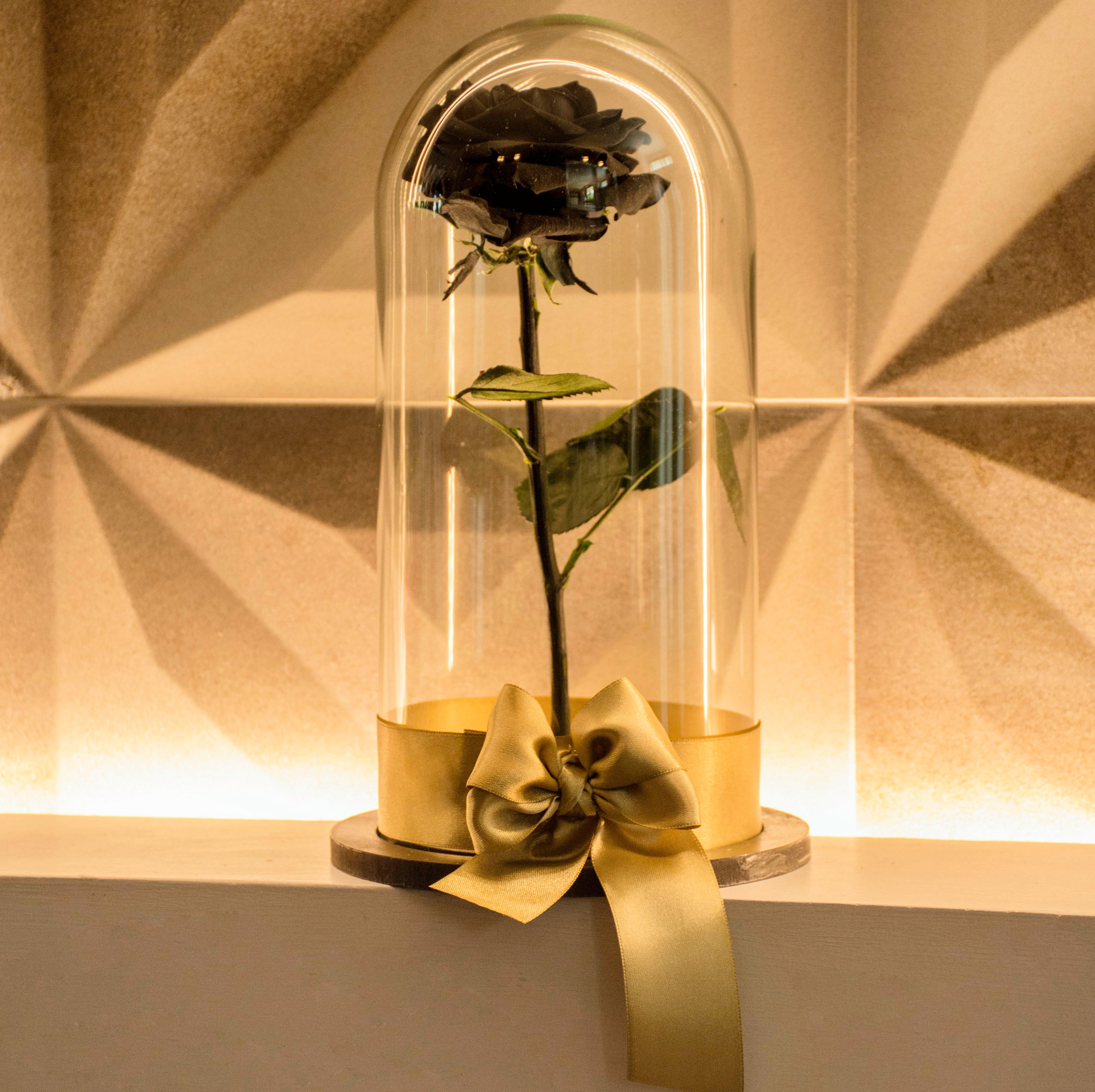Rosa Preservada Premiun Negra 🌹 Con 5 Años De Duración – Rosas Le Fleur ...