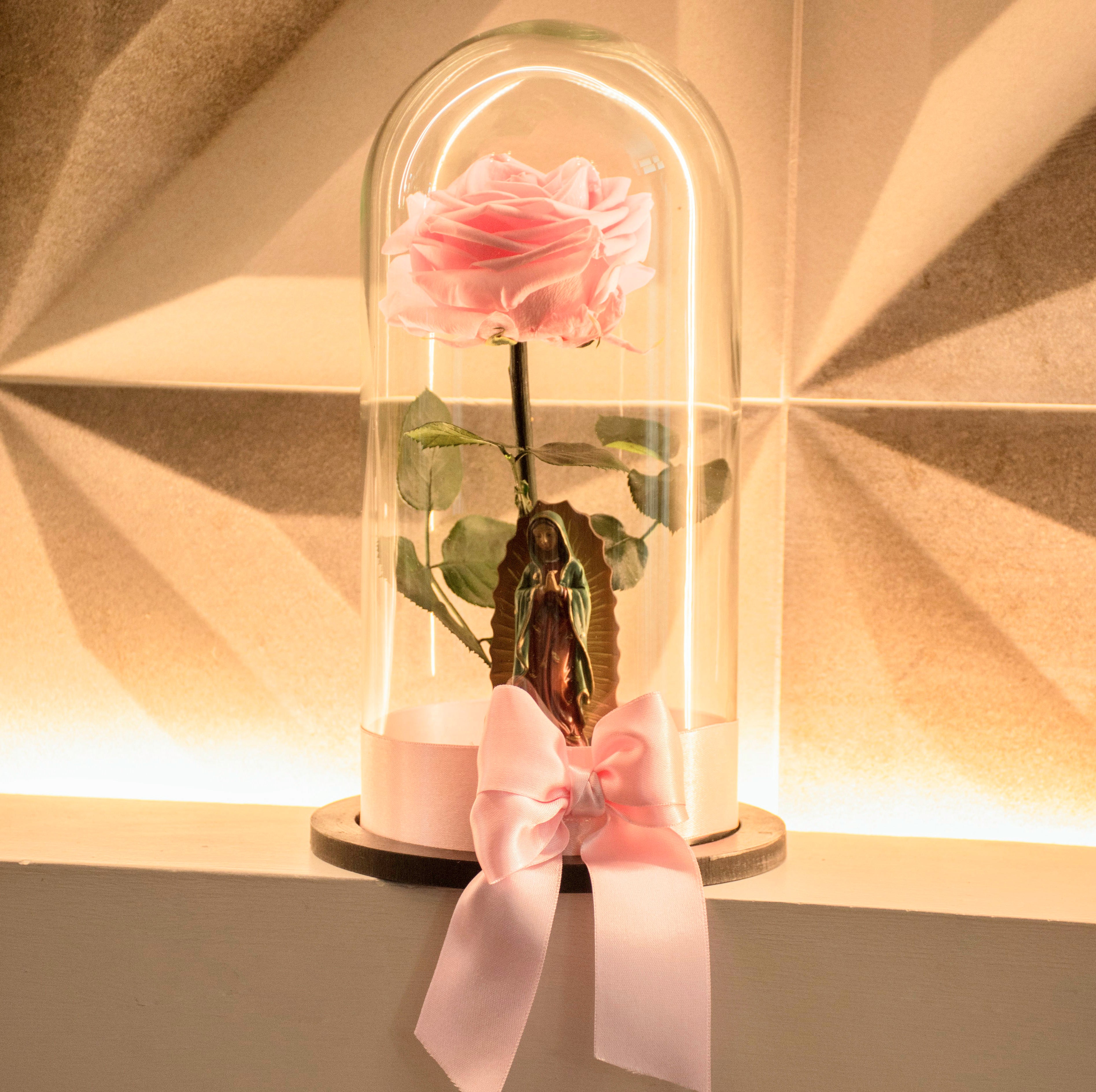 Rosa Preservada Rosada 🌹+ Virgen De Guadalupe A Color – Rosas Le Fleur ...