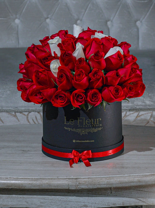 Pompon 65 Rosas 🌹