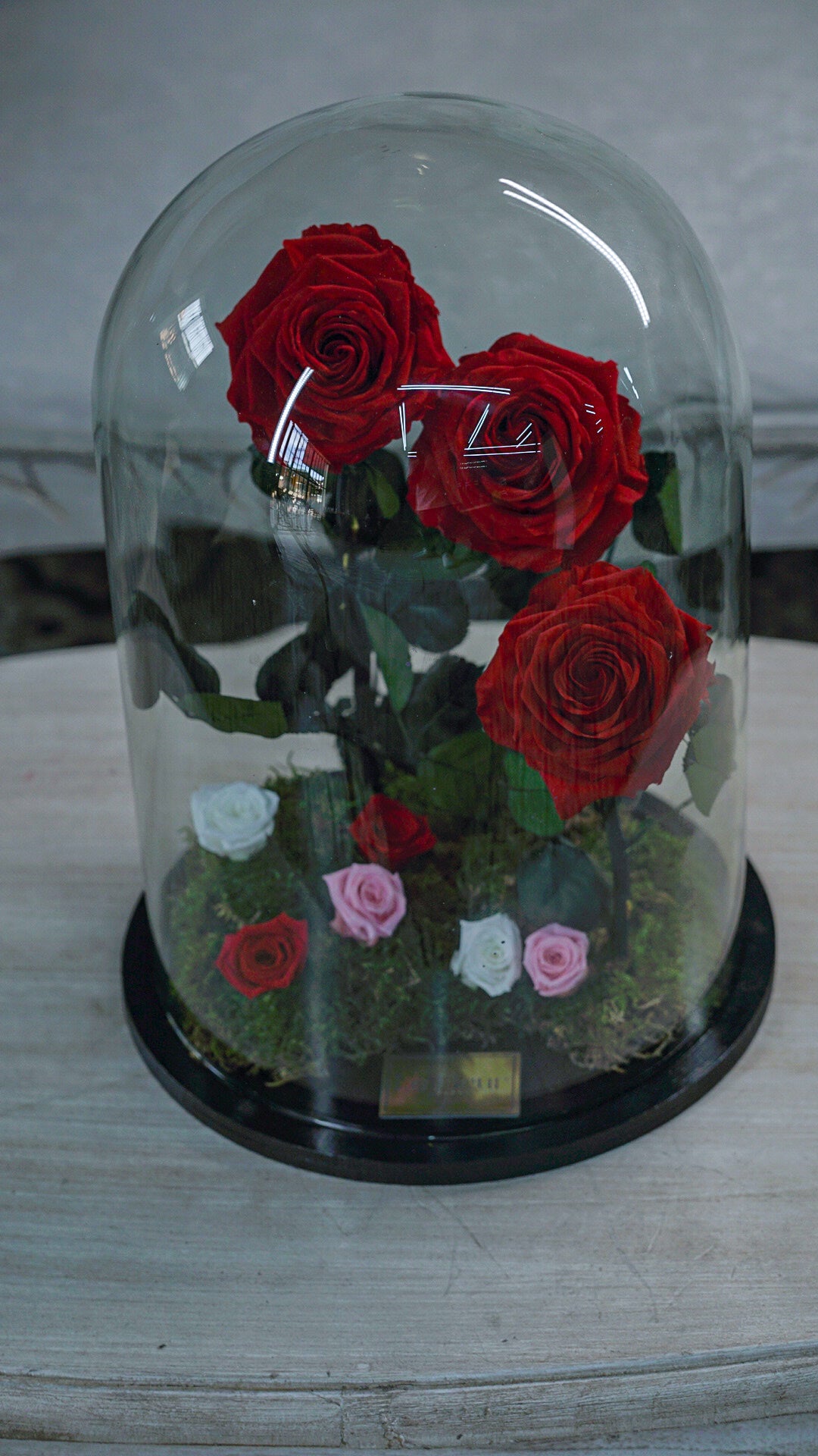 Jardín Preservado Encantado🌹 Con 5 Años De Duración