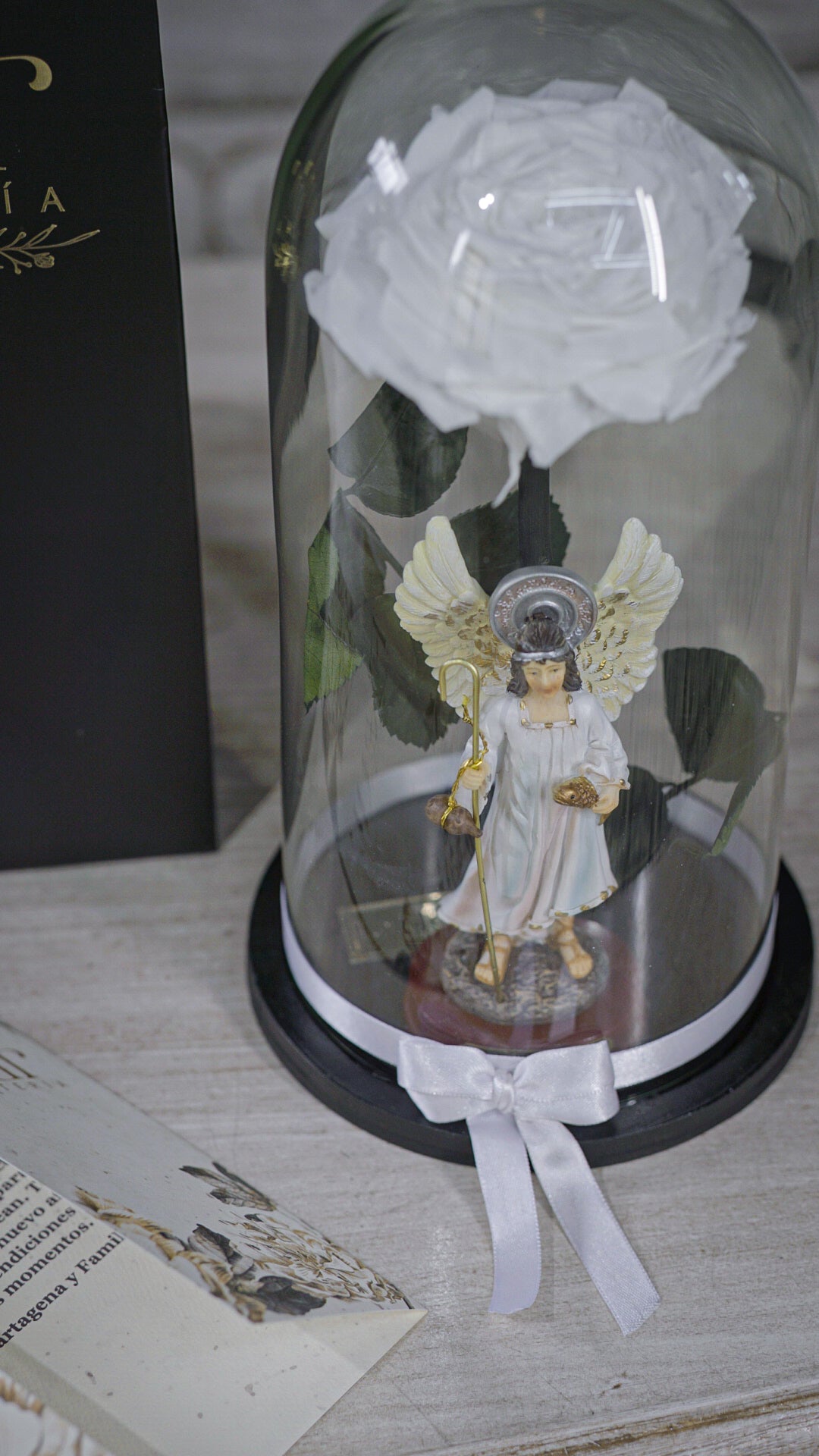 Rosa Preservada Blanca 🌹+ Arcángel San Rafael A Color