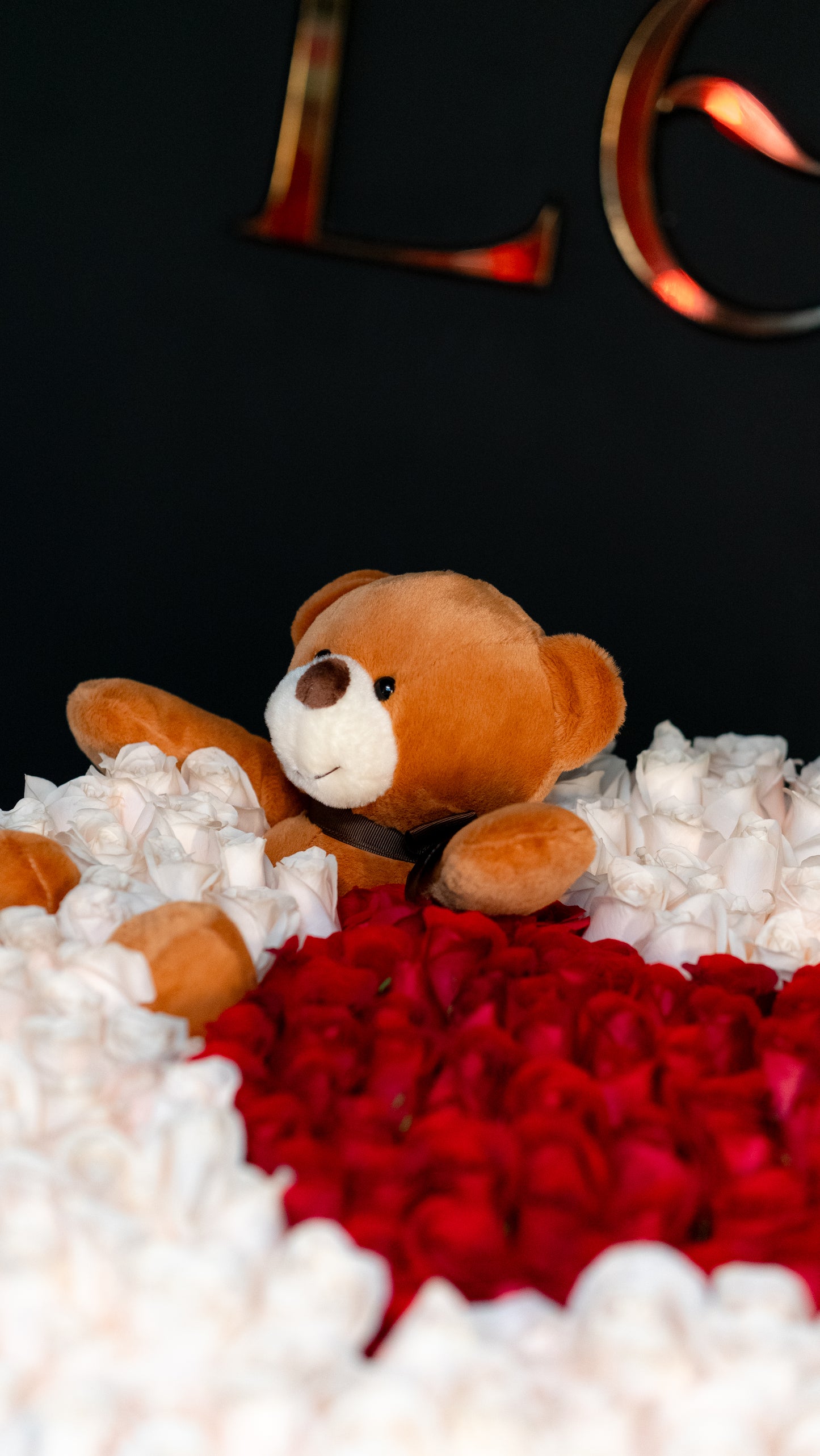 Cilindro Gigante con 300 Rosas + Peluche