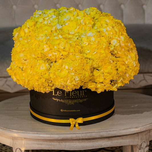 Pompon Hortencias XXL