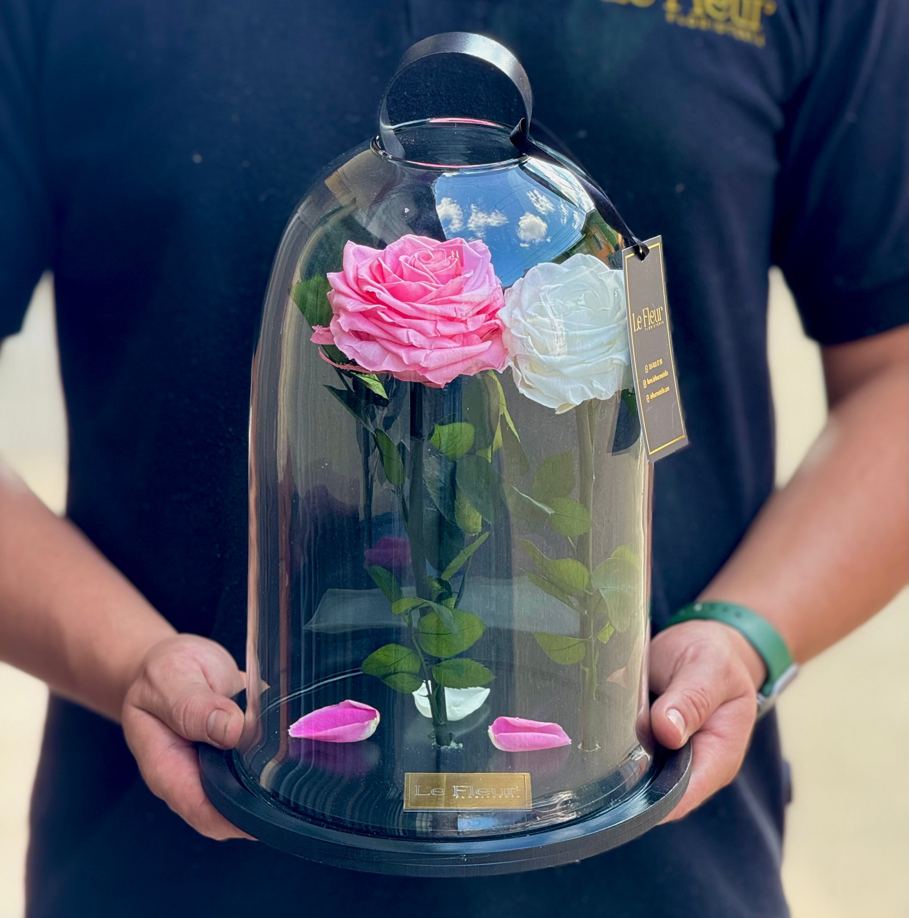 Rosa Preservada Doble XL Rosada y Blanca 🌹 Con 5 Años De Duración ...