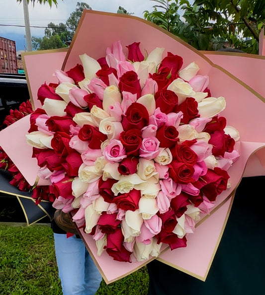 Buquet De 150 Rosas De Exportacion Grande Blanco, Rojo y rosado ❤️🩷🤍
