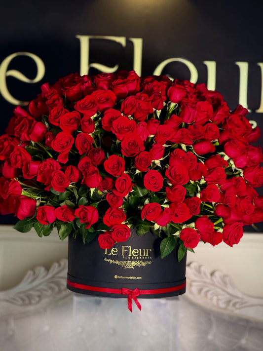 Pompon Buchon Gigante De 200 Rosas De Exportacion  🌹