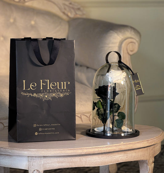 Rosa Preservada Doble XL Negra y Blanca  Con 5 Años De Duración