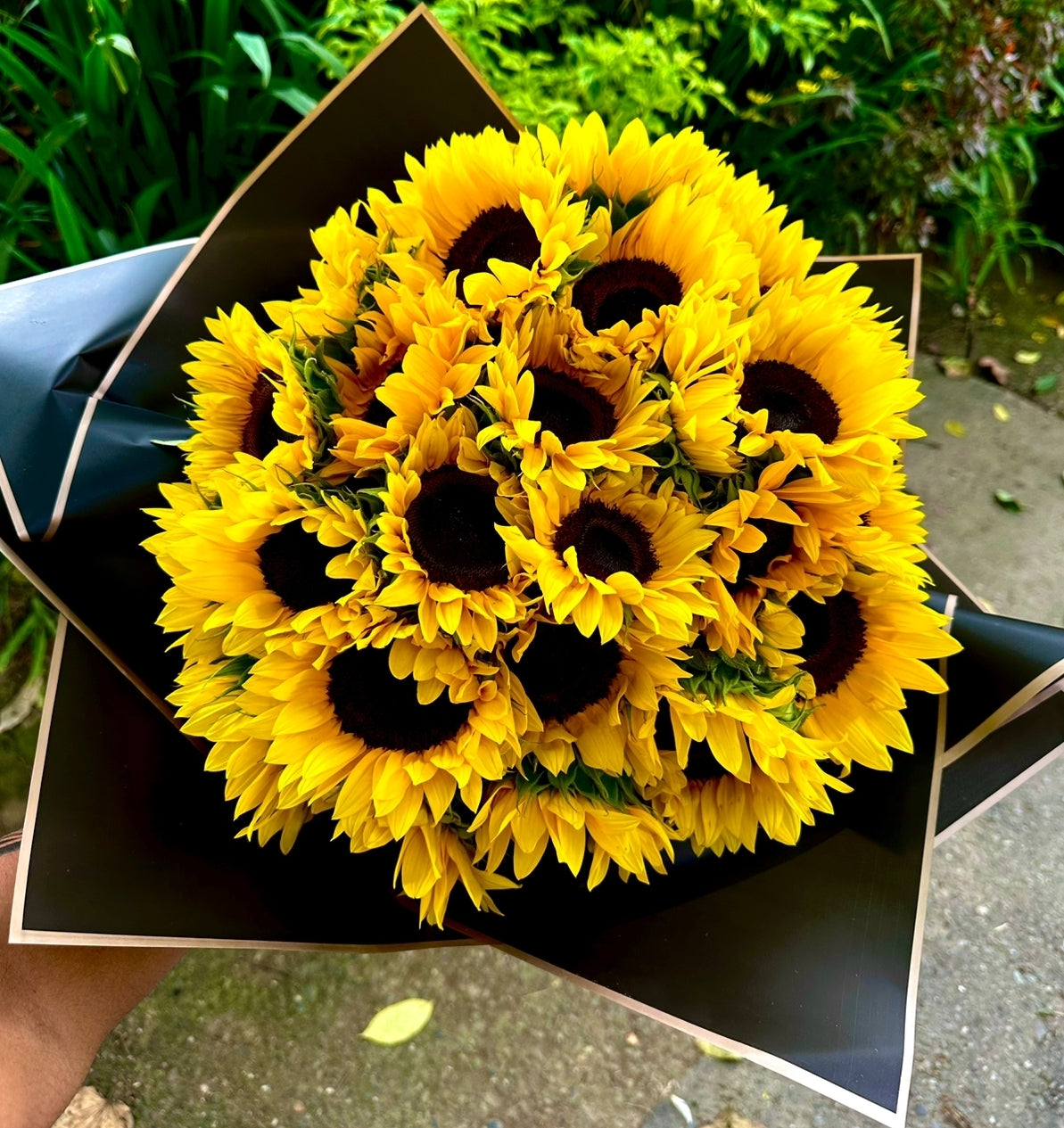 Buquet De 30 Girasoles Grande 🌻